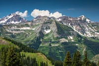 Trees on a Mountain, Crested Butte, Colorado Fine Art Print
