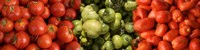 Close-up of Assorted Tomatoes Fine Art Print