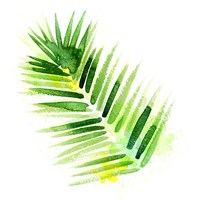 Tropical Icons Palm Frond Fine Art Print