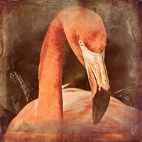 Flamingo Masquerade Fine Art Print