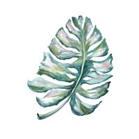 Island Leaf I Framed Print
