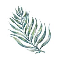 Island Leaf II Framed Print