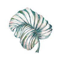 Island Leaf III Framed Print