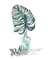 Island Tropics Frond in Bottle II Framed Print