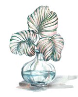 Island Tropics Frond in Bottle IV Framed Print