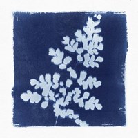 Flora Cyanotype I Fine Art Print