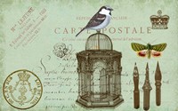 Carte De Visit Bird Fine Art Print