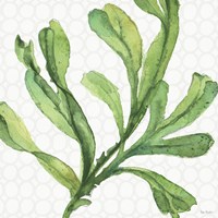 Mixed Greens XIX Fine Art Print