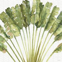 Mixed Greens VIII Fine Art Print