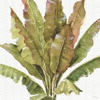 Mixed Greens VII Fine Art Print