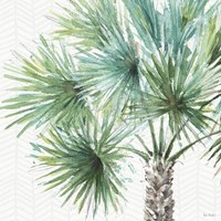 Mixed Greens VI Fine Art Print