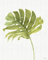 Mixed Greens LXXVII Fine Art Print