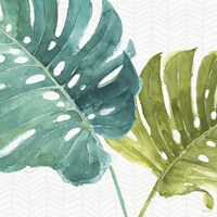 Mixed Greens LXXV Fine Art Print