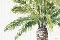 Mixed Greens II Fine Art Print