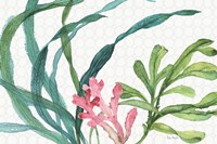 Mixed Greens XVII Fine Art Print