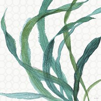 Mixed Greens XXIII Fine Art Print