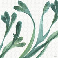 Mixed Greens XXIV Fine Art Print