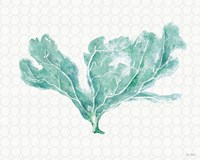 Mixed Greens XXIX Fine Art Print