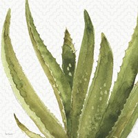 Mixed Greens XXXVIII Fine Art Print