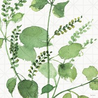 Mixed Greens LIII Fine Art Print