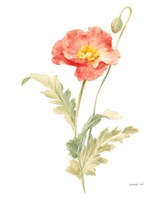 Floursack Florals on White IV Framed Print