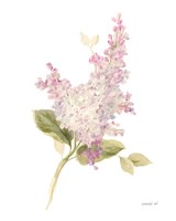 Floursack Florals on White VI Framed Print