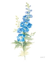 Floursack Florals on White VII Framed Print