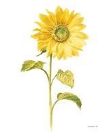 Floursack Florals on White II Framed Print