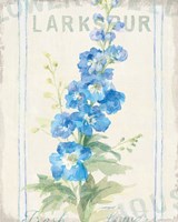 Floursack Florals VII Framed Print