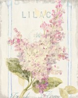 Floursack Florals V Fine Art Print