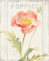 Floursack Florals IV Framed Print