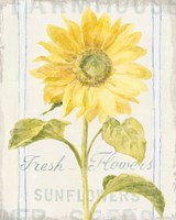 Floursack Florals II Framed Print