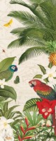 Parrot Paradise VII Fine Art Print