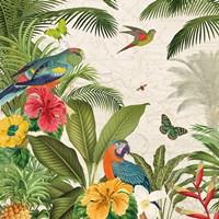 Parrot Paradise II Framed Print
