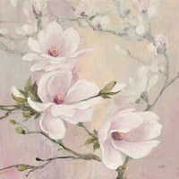 Blushing Magnolias Fine Art Print