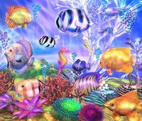 Ocean's Little Wonders Fine Art Print