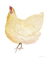 Life on the Farm Chicken Element II Fine Art Print