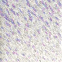 Shimmer Fine Art Print