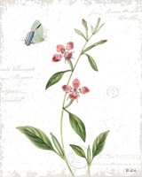 Spring Fields II Framed Print