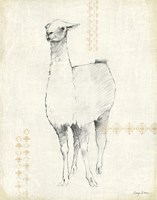 Llama Land XII Fine Art Print