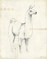 Llama Land XI Fine Art Print