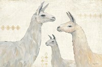 Llama Land IV Fine Art Print