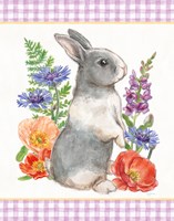 Sunny Bunny IV Checker Border Fine Art Print