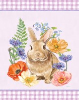 Sunny Bunny II Checker Border Purple Fine Art Print
