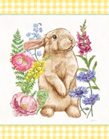 Sunny Bunny III Checker Border Fine Art Print