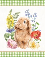 Sunny Bunny I Checker Border Framed Print
