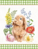 Sunny Bunny I Checker Border Fine Art Print