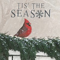 Christmas Affinity X Fine Art Print