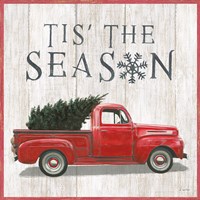 Christmas Affinity XI Fine Art Print