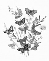 Butterfly Bouquet I Linen BW I Fine Art Print